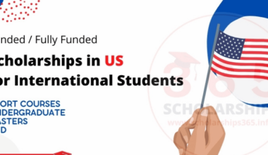 Online College Scholarship in the USA